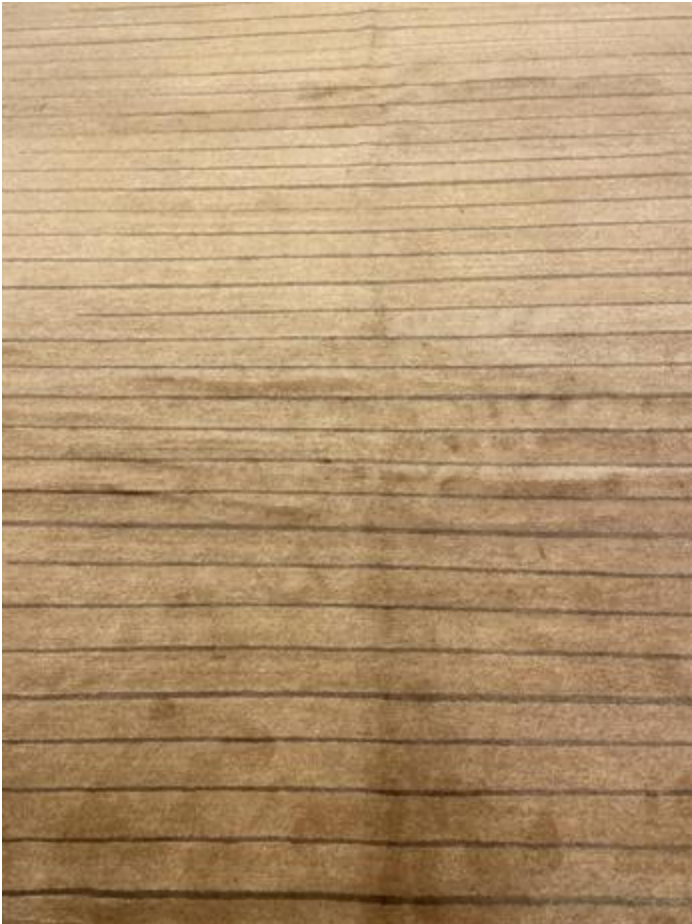 Tibetano Collection Silk & Wool - 7' 11" x 8' 05" Square - Brown - Wool & Silk Contemporary Modern Area Rug - Tibet Nepal Rug