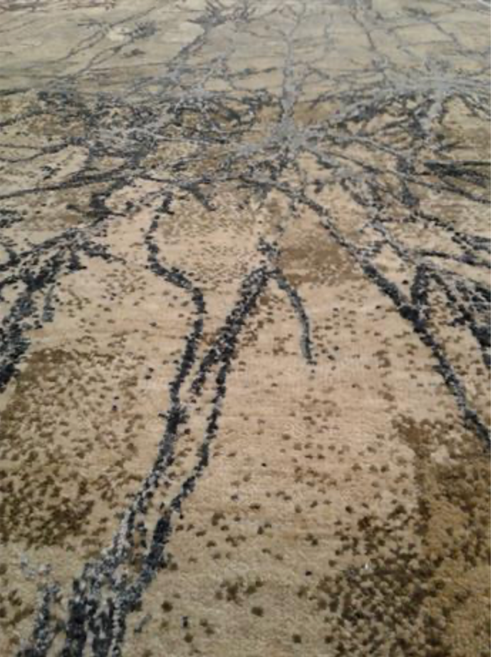 Emerald Collection Wool & Silk - 7' 10" x 10' 02" Area Rug - Brown & Grey - Hand Knotted Wool & Silk Contemporary Modern Rug